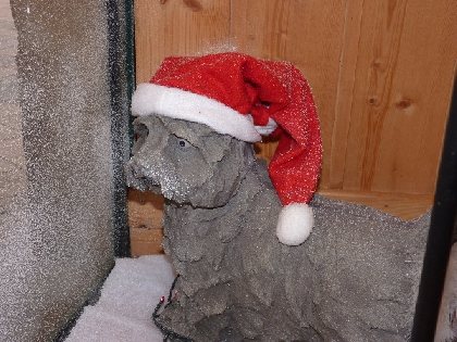 Le Chien à la Fenêtre, OFFICE DE TOURISME DE MILLAU