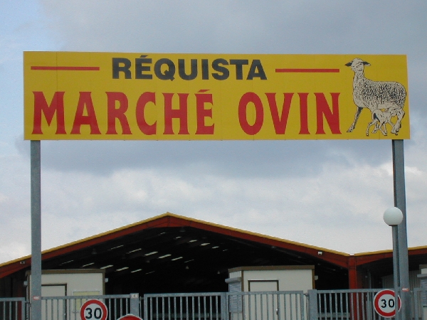 Marché Ovin à Réquista
