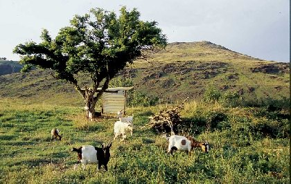 Puy de Wolf, Syndicat d'initiative d'Aubin