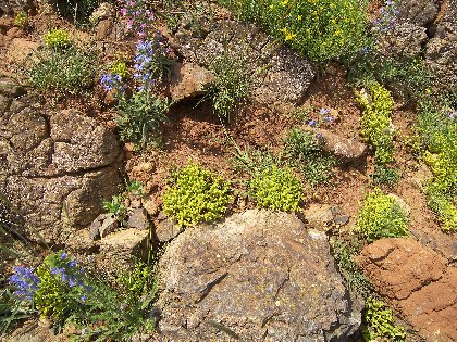 Puy de Wolf, cpie rouergue