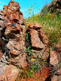 Puy de Wolf, cpie rouergue