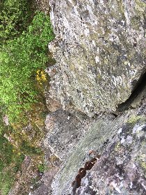 Mur d'escalade, OFFICE DE TOURISME LARZAC VALLEES