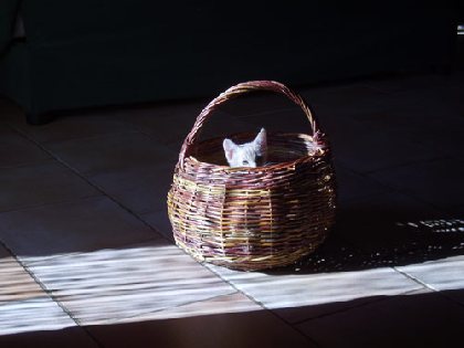 Vannerie Paysanne - Claudie et Yves Peres, OFFICE DE TOURISME DE NANT