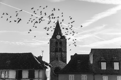 Le clocher de Sauveterre, C.Spiesser