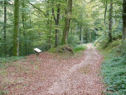 Sentier d'Interprétation de la Hêtraie, OFFICE DE TOURISME DU REQUISTANAIS