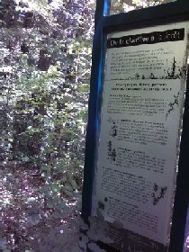 Sentier botanique, OFFICE DE TOURISME DE PARELOUP LEVEZOU