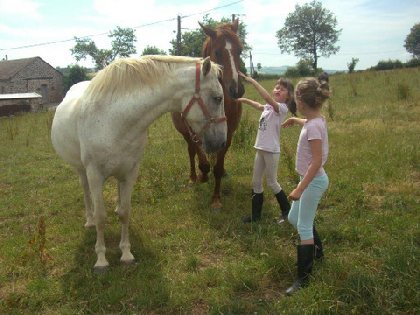 Ferme du Lévézou - Franck JOSCERAN, OFFICE DE TOURISME DE PARELOUP LEVEZOU