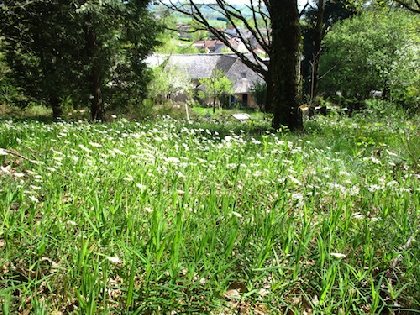 Jardin, Eleanor O'HANLON