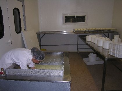 GAEC des Traversiers,fromages fermiers de brebis (La Couvertoirade), OFFICE DE TOURISME LARZAC TEMPLIER CAUSSES ET VALLEES