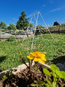 Pierre Ginisty, Le studio d'Espalion