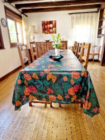 Pierre Ginisty, Le studio d'Espalion