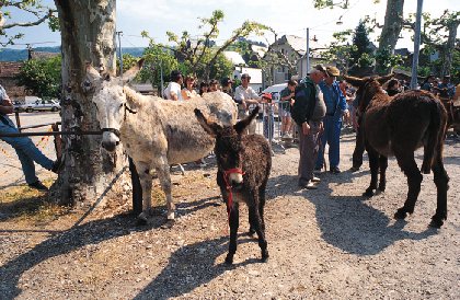 Foire aux celibataires st genis pouilly