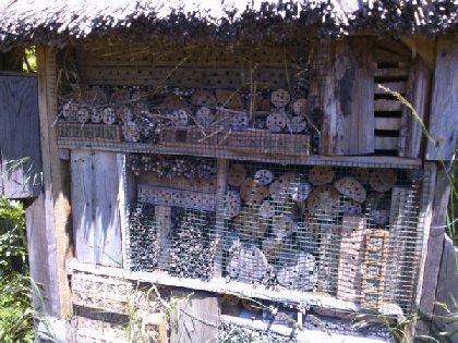 Jardin d'insectes dit du perce-oreille, OFFICE DE TOURISME DE PARELOUP LEVEZOU