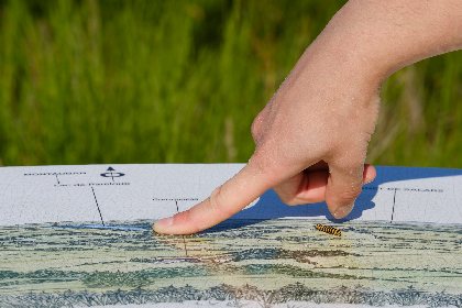 Le Puech Monseigne et ses coccinelles, OFFICE DE TOURISME DE PARELOUP LEVEZOU