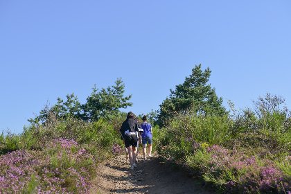 Le Puech Monseigne et ses coccinelles, OFFICE DE TOURISME DE PARELOUP LEVEZOU