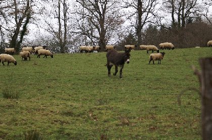 Monsieur Gérard Vidal, OFFICE DE TOURISME DE PARELOUP LEVEZOU