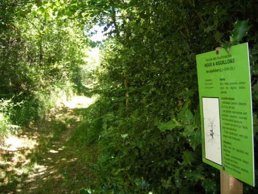 Sentier botanique d'Arvieu