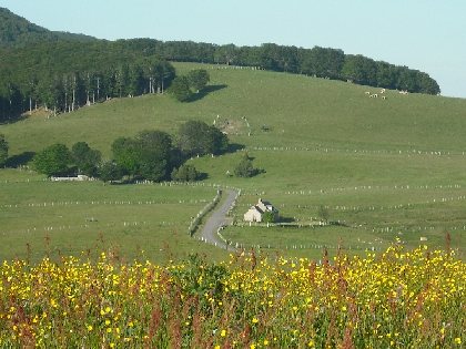 Buron des Enguilhens, Mairie Condom