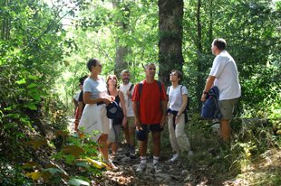 Randonnée à Pont-de-Salars, Comité Départemental du Tourisme de l'Aveyron
