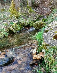 Sources de l'Aveyron, ©Dennis Thümmler