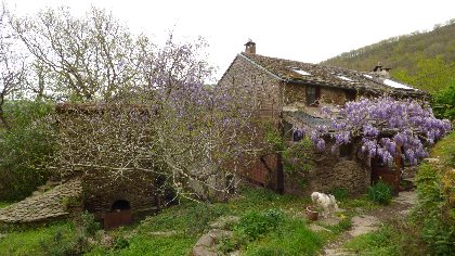 Gîte du Bosc, Chambres d'hôtes du Bosc