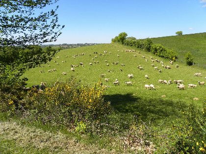 Visite de ferme, OFFICE DE TOURISME DU REQUISTANAIS