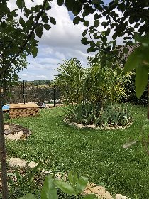 Au Mas de Conques , Arlette Pouget