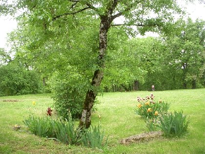 Le Colombier - AYG3054, OFFICE DE TOURISME REGIONAL DE VILLEFRANCHE DE ROUERGUE