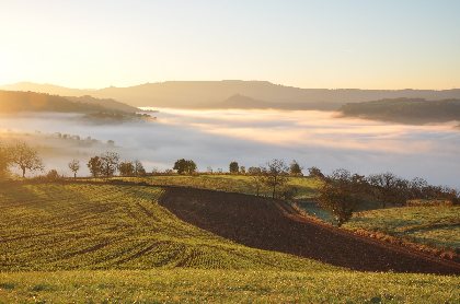 La Maison de Vigneron - H12G005411, OT Terres d'Aveyron