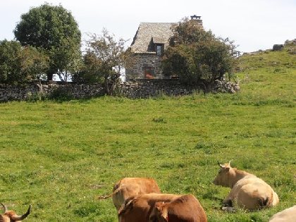 Albert CALMEL, CALMEL