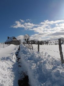 Albert CALMEL, CALMEL