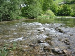 Gite de Mme et M. Solignac, OFFICE DE TOURISME INTERCANTONAL SAINT GENIEZ  / CAMPAGNAC