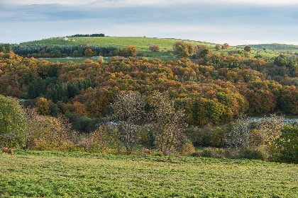 Gîte La Grange Haute, La Grange Haute