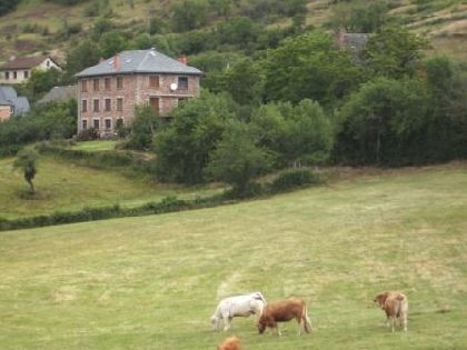 René ESTIVALS - AYG3023, RENE ESTIVALS