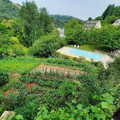 Le grand tilleul, Office de Tourisme en Aubrac