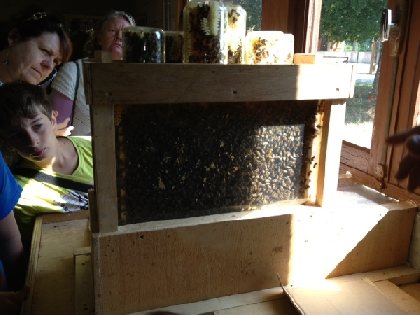 MIELLERIE DU VAL DE SERRE, OFFICE DE TOURISME INTERCANTONAL SAINT GENIEZ  / CAMPAGNAC