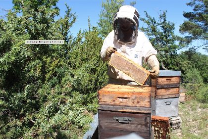 Miellerie du Val de Serre, 