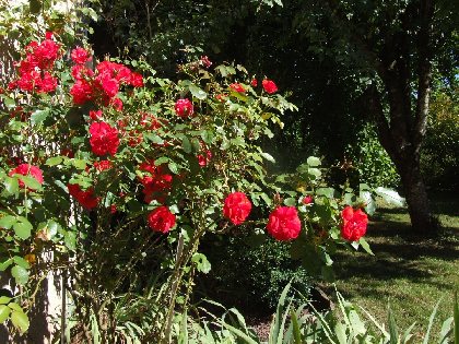 Gîte l'Oustal occitan , Gite l'Oustal occitan