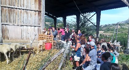 Ferme de Pinet, visite d'un élevage de brebis en agroécologie, La Ferme de Pinet, visite d'un élevage de brebis en agroécologie