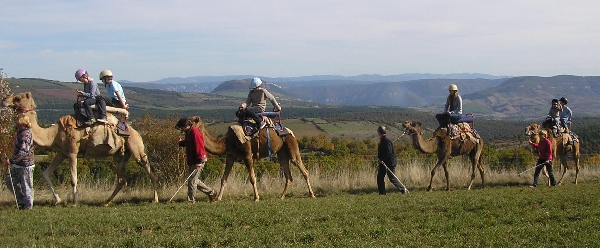 Randonnée à dromadaires - Ferme de la Blaquière (groupes)