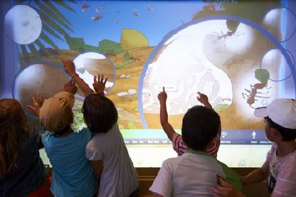 MICROPOLIS LA CITÉ DES INSECTES (groupes), OFFICE DE TOURISME DE PARELOUP LEVEZOU