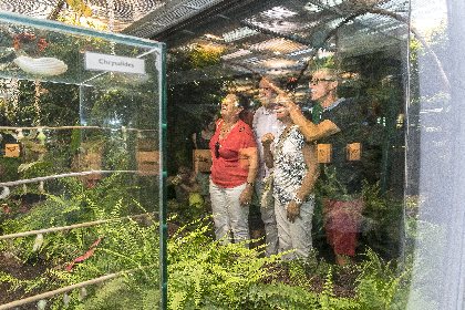 MICROPOLIS LA CITÉ DES INSECTES (groupes serre aux papillons), MICROPOLIS LA CITÉ DES INSECTES