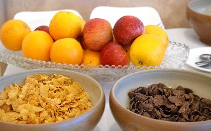 Hôtel de France (groupes), Hôtel de France 