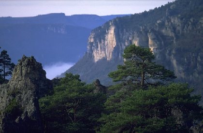 SITE DE MONTPELLIER LE VIEUX, SITE DE MONTPELLIER LE VIEUX