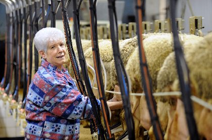 Ricard Alice - Ferme d'Hermilix (groupes), OFFICE DE TOURISME DU PAYS DE ROQUEFORT ET DU ST-AFFRICAIN