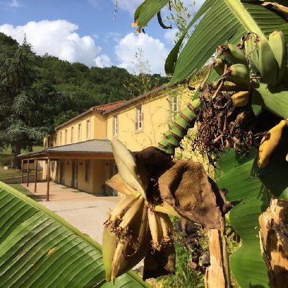 Résidence Le 1837 (groupes), OFFICE DE TOURISME DU PAYS DE ROQUEFORT ET DU ST-AFFRICAIN