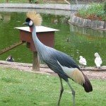 LE JARDIN DES BETES, OFFICE DE TOURISME DE BOZOULS
