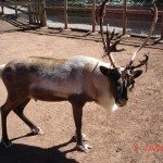 LE JARDIN DES BETES, OFFICE DE TOURISME DE BOZOULS