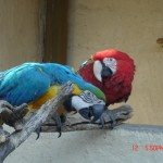 LE JARDIN DES BETES, OFFICE DE TOURISME DE BOZOULS