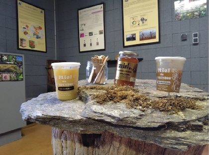 Miellerie du Val de Serre (groupes), 